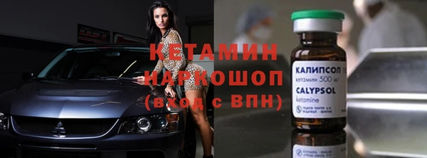 гидра Абаза