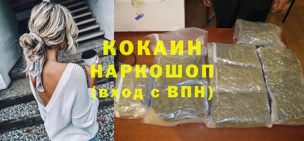 гидра Абаза