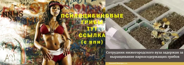 дмт Алзамай