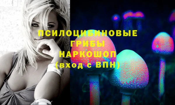 2c-b Абдулино