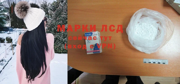гидра Абаза