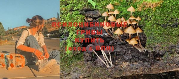гидра Абаза