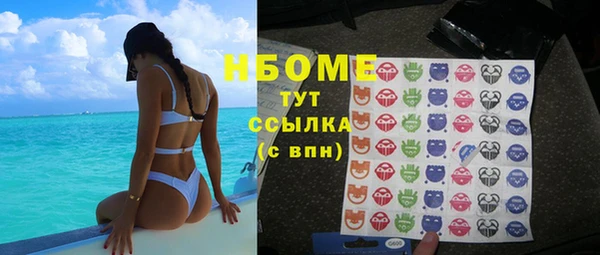 гидра Абаза