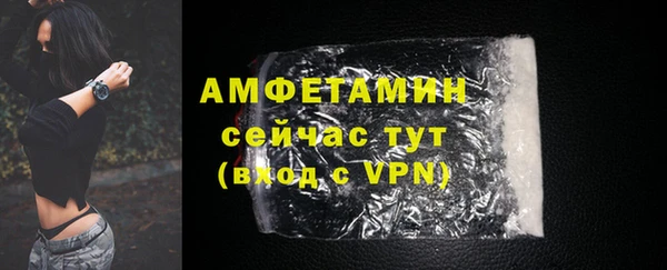 гидра Абаза
