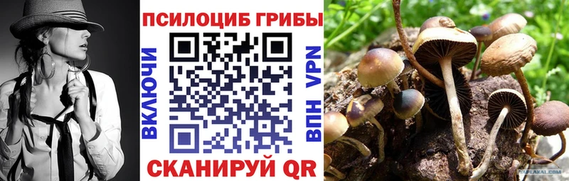 наркошоп  ОМГ ОМГ ONION  Псилоцибиновые грибы Cubensis  Елизаветинская 