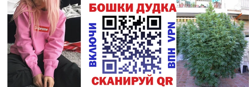 Шишки марихуана план  Елизаветинская 